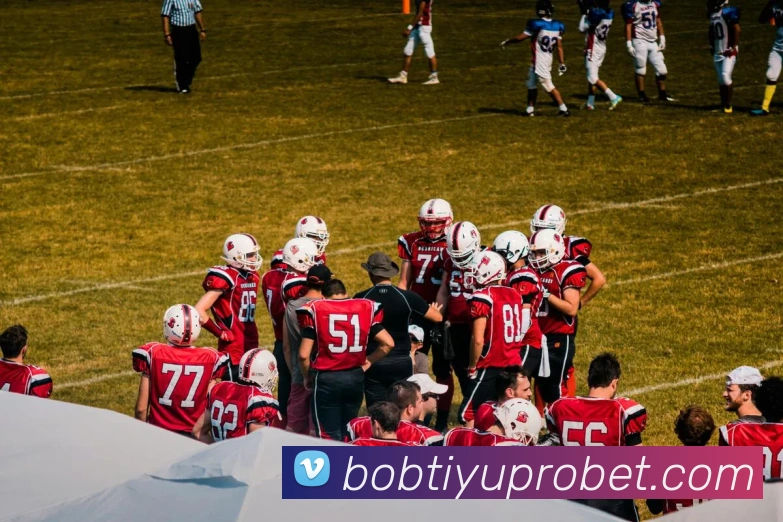 BOB体育APP 封面图