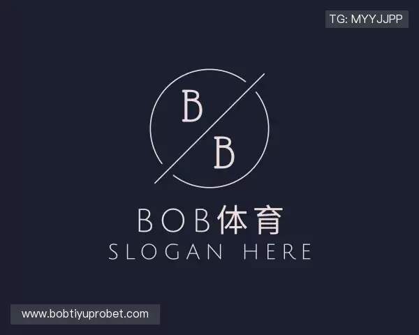 介绍bob体育